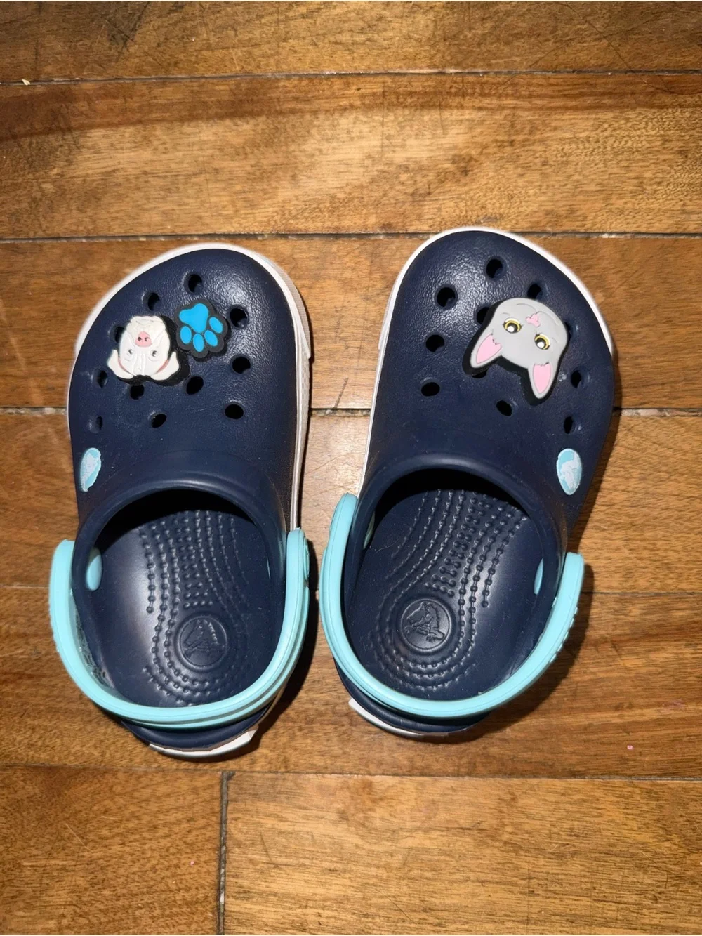CROCS Navy Clog Sandals with Light Blue Strap and Cute Animal Charms